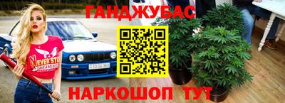 гидра Краснокаменск